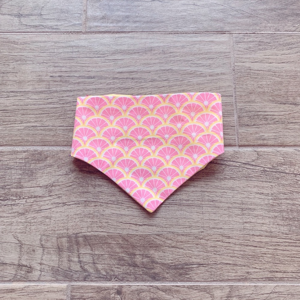 Dog Bandana double sided